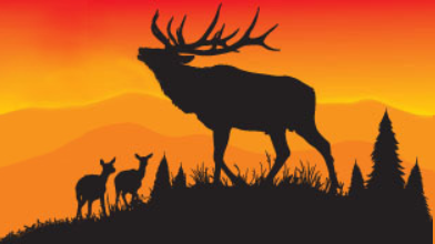 Derby Elk resort