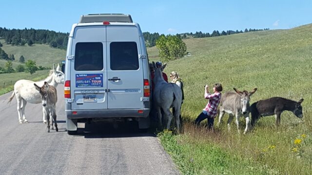 Black-Hills-Above-and-Beyond-Tours
