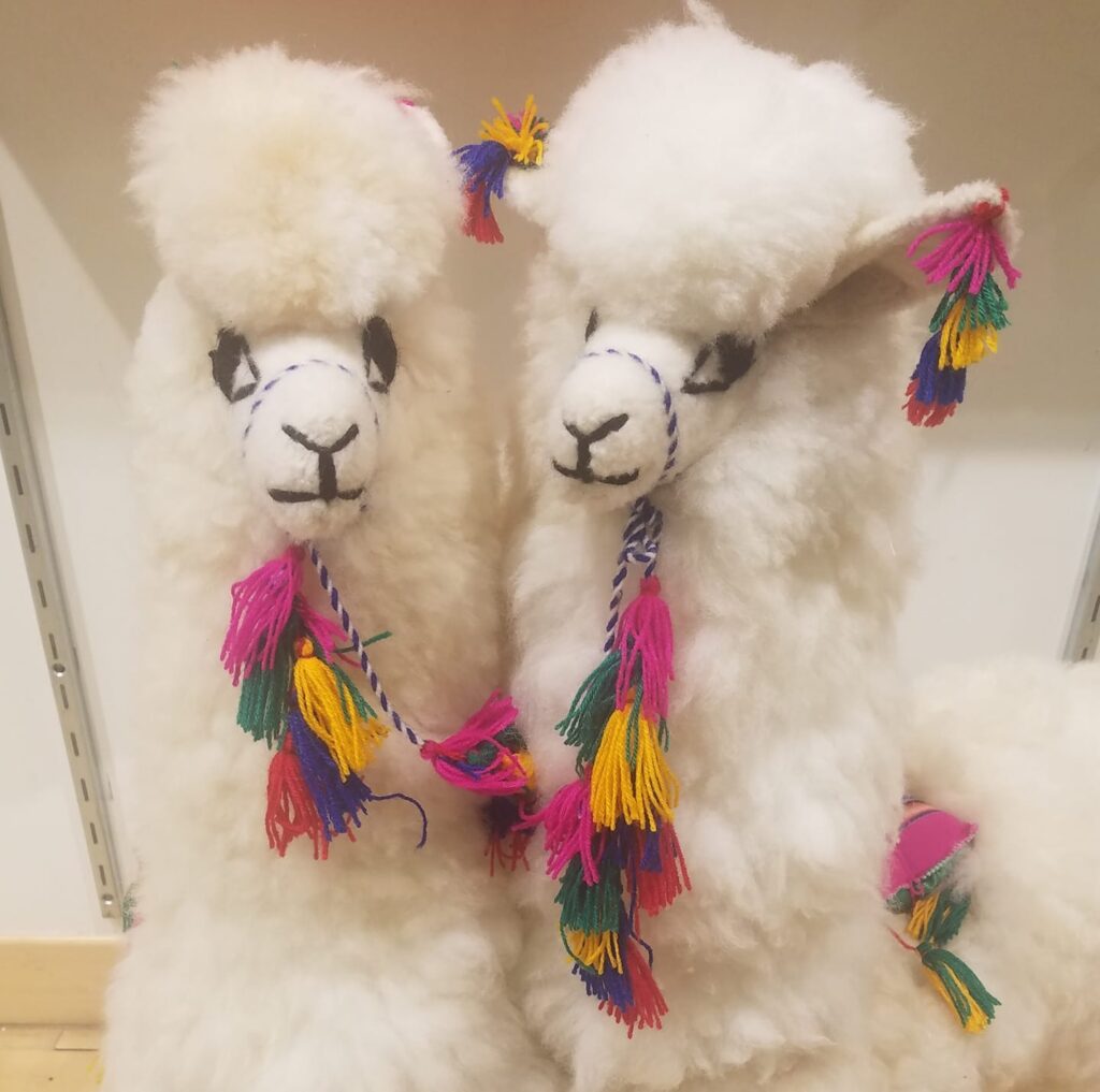 Alpaca Store