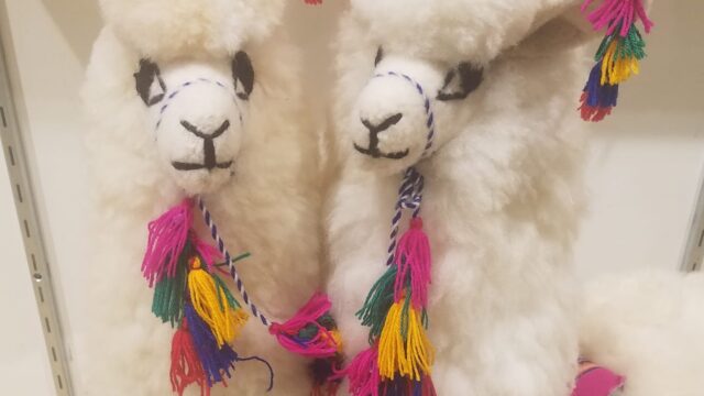 Alpaca Store 1